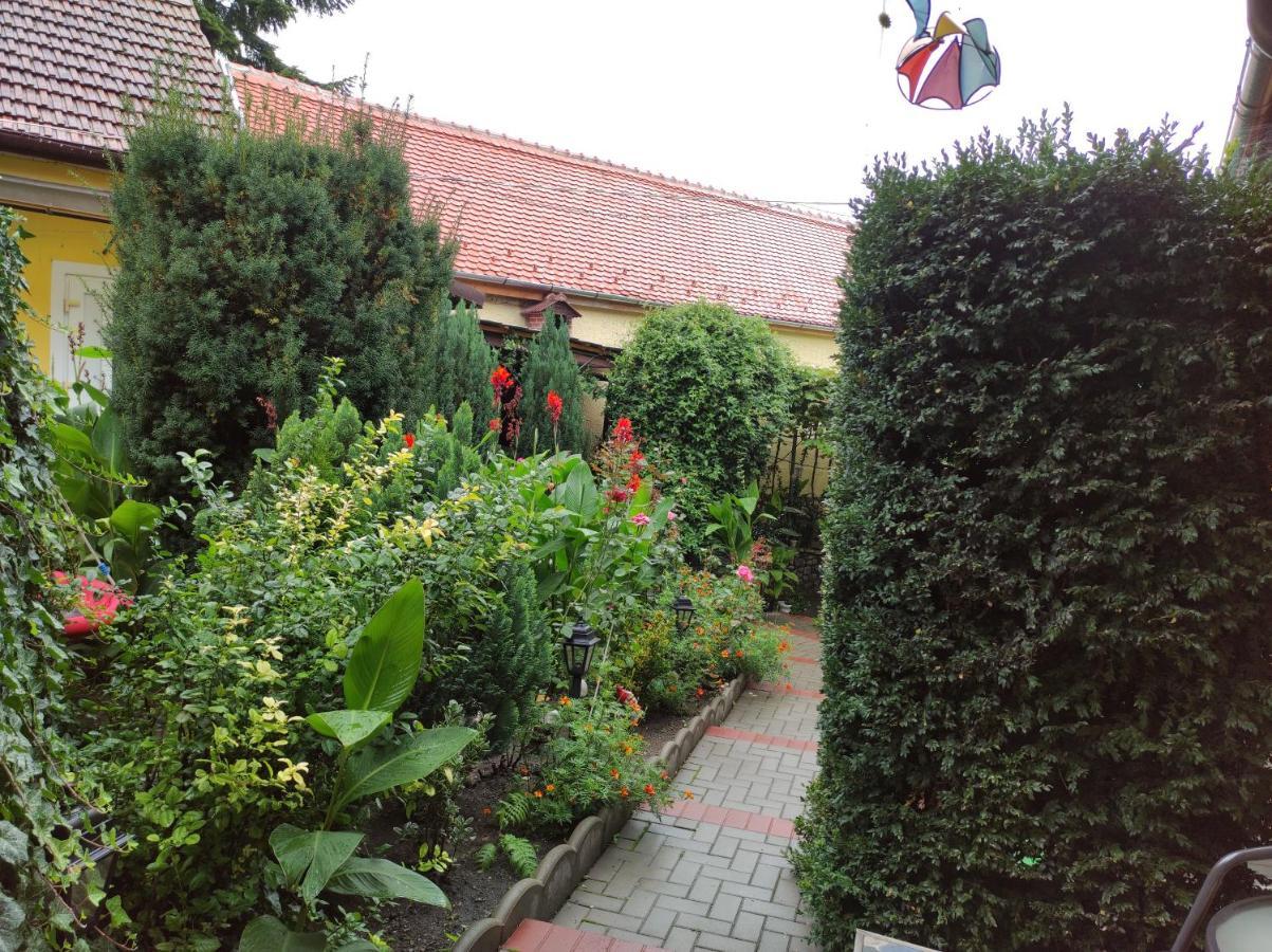Color Home Hermannstadt Dış mekan fotoğraf