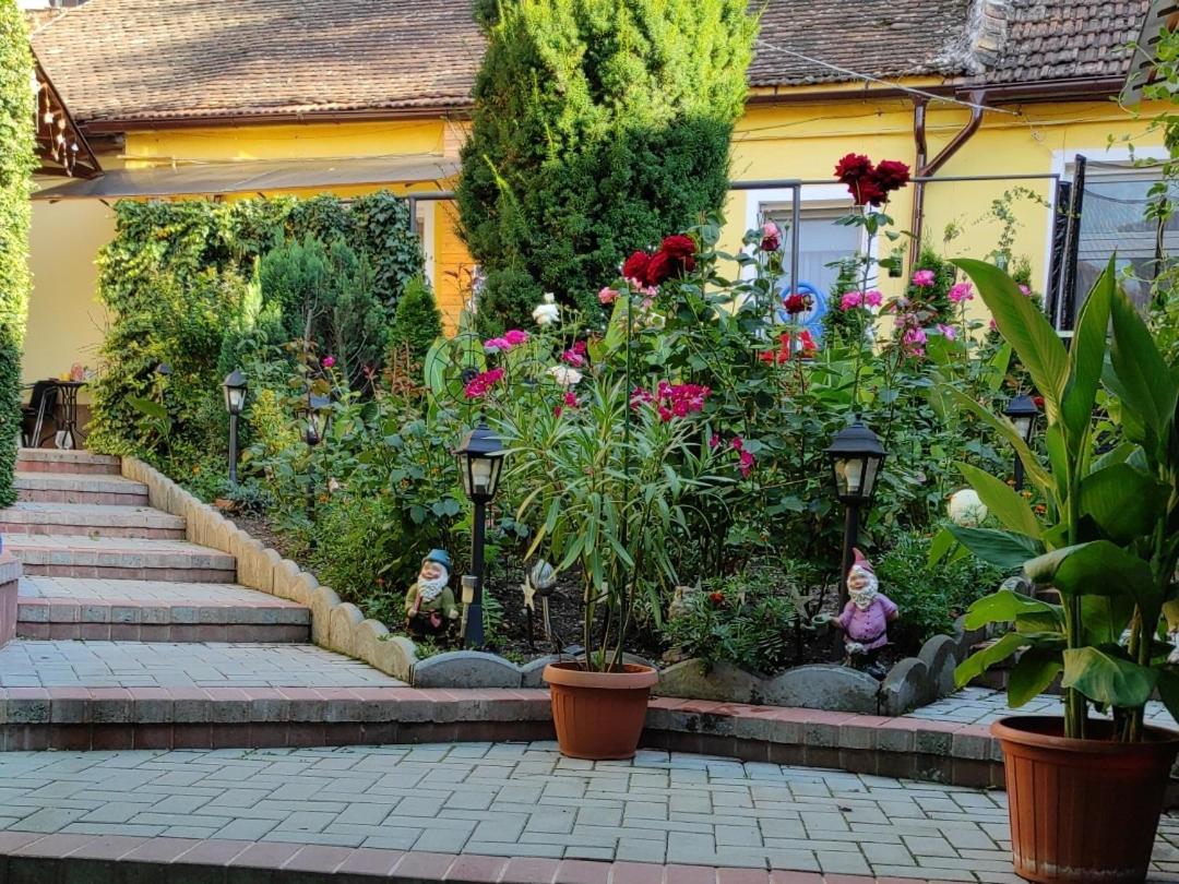 Color Home Hermannstadt Dış mekan fotoğraf