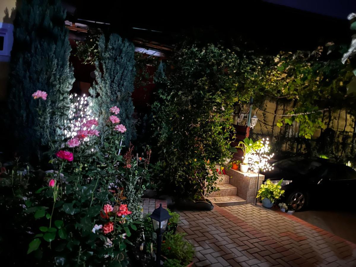 Color Home Hermannstadt Dış mekan fotoğraf