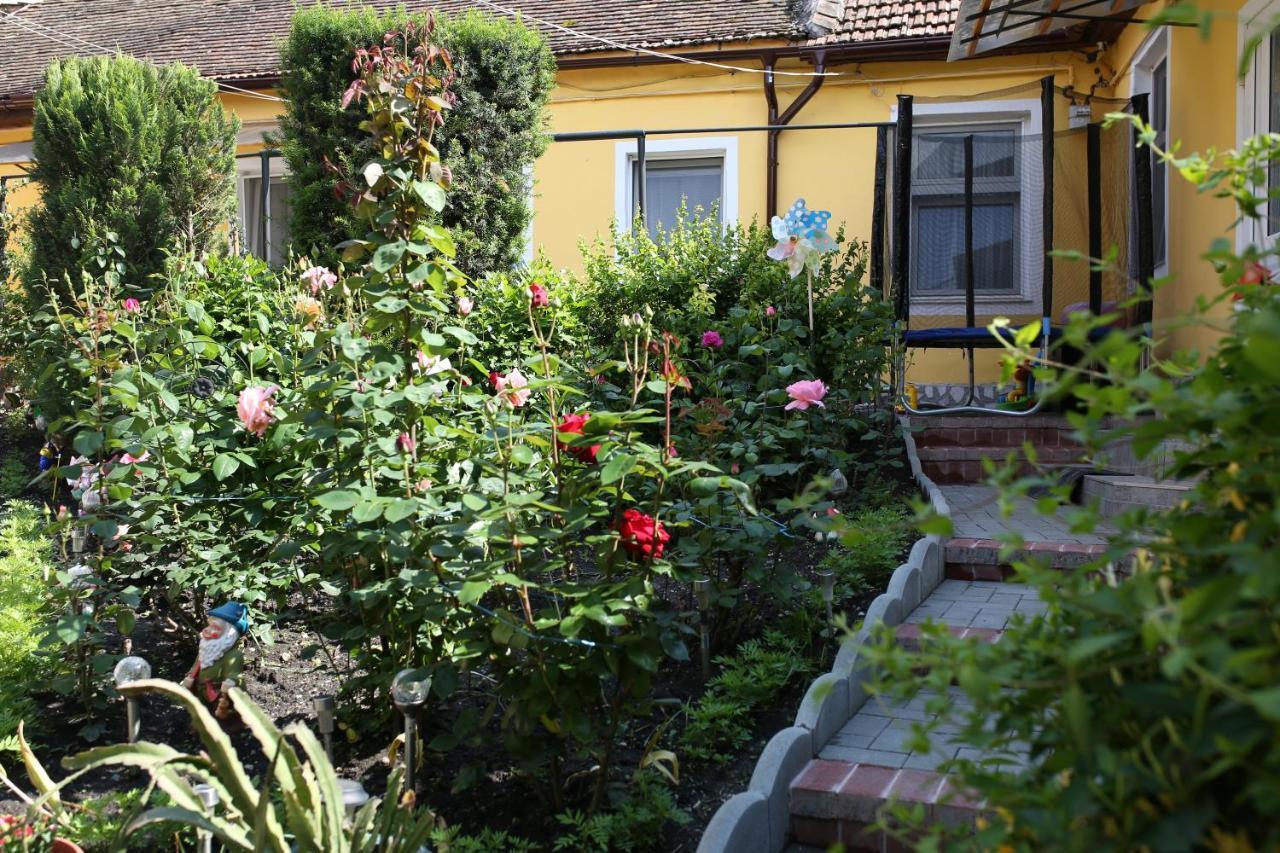 Color Home Hermannstadt Dış mekan fotoğraf